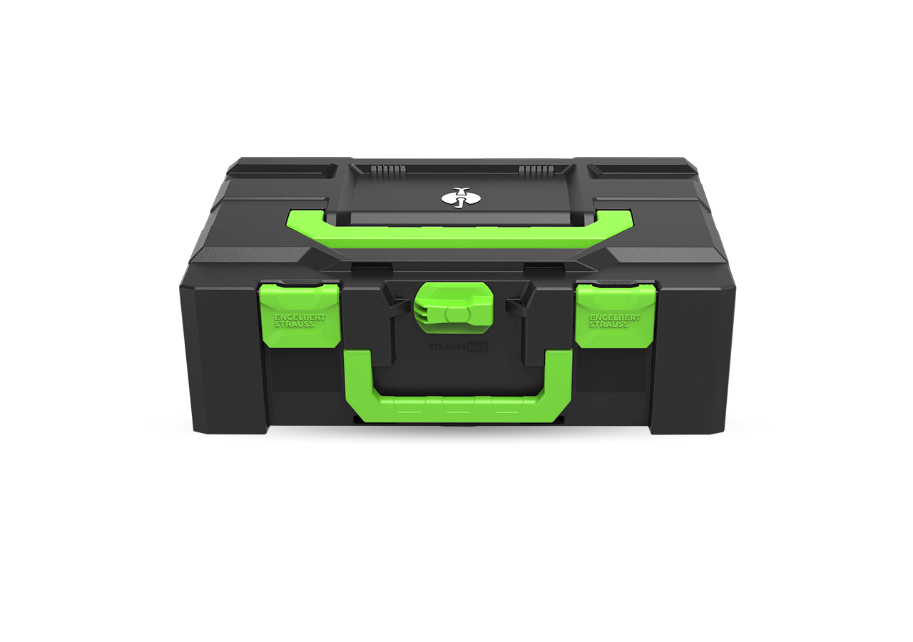 STRAUSSbox Systém: STRAUSSbox 165 large Color + mořská zelená