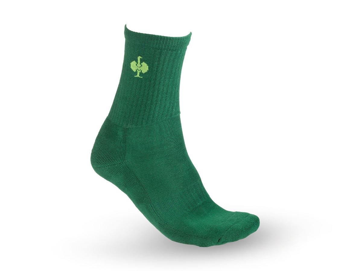 Ponožky | Punčochy: e.s. Víceúčelové ponožky Classic light/high + zelená/mořská zelená