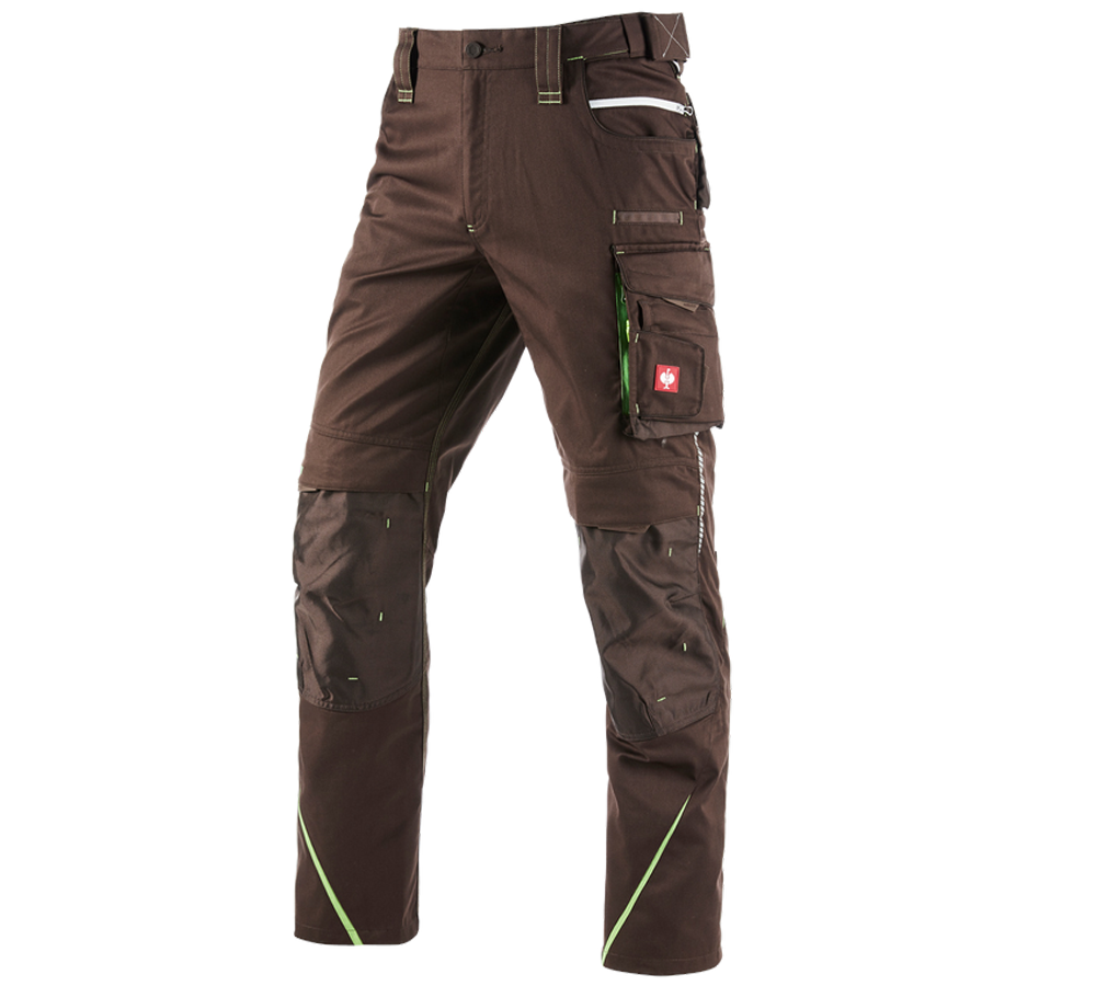 Pracovní kalhoty: Kalhoty e.s.motion 2020 + kaštan/mořská zelená