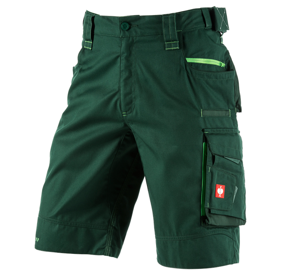 Pracovní kalhoty: Šortky e.s.motion 2020 + zelená/mořská zelená