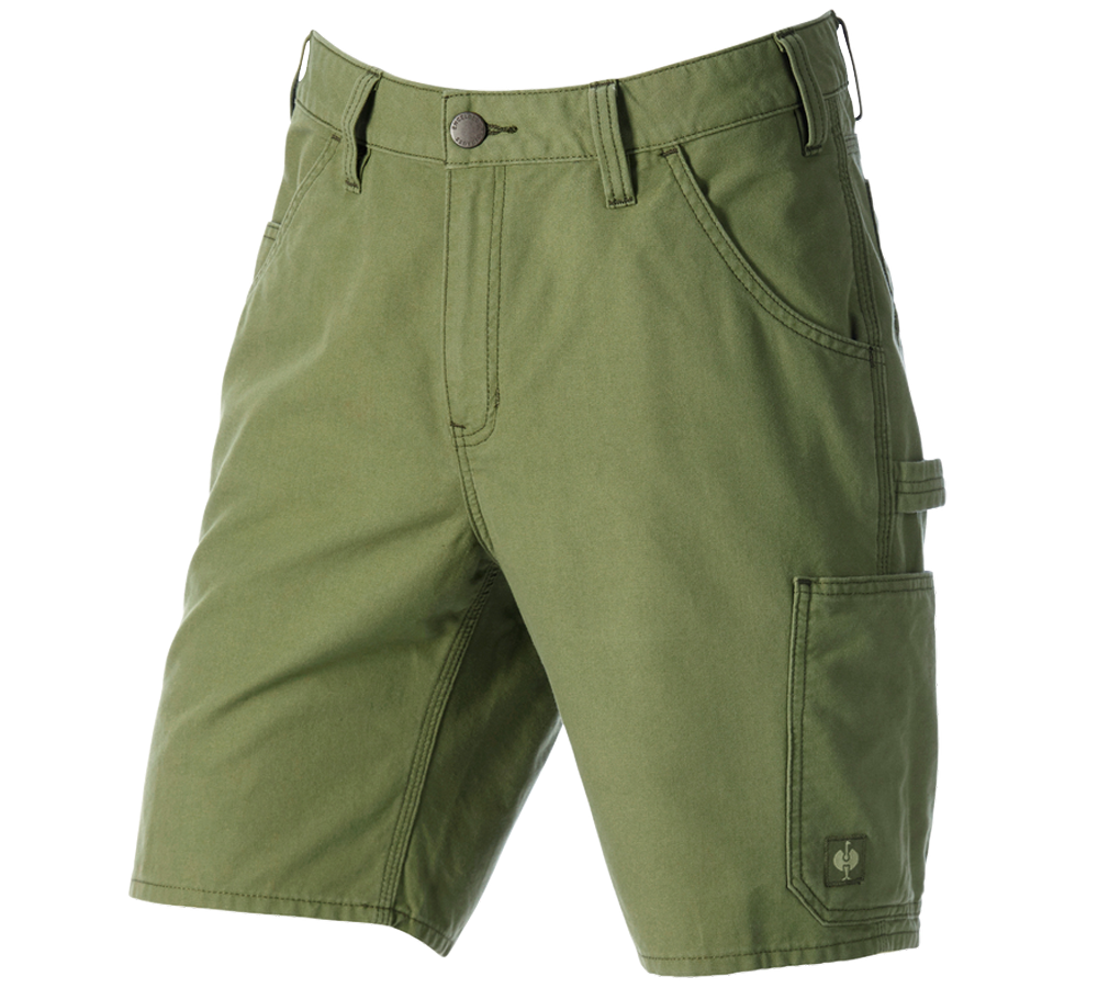 Pracovní kalhoty: Šortky e.s.iconic + horská zelená
