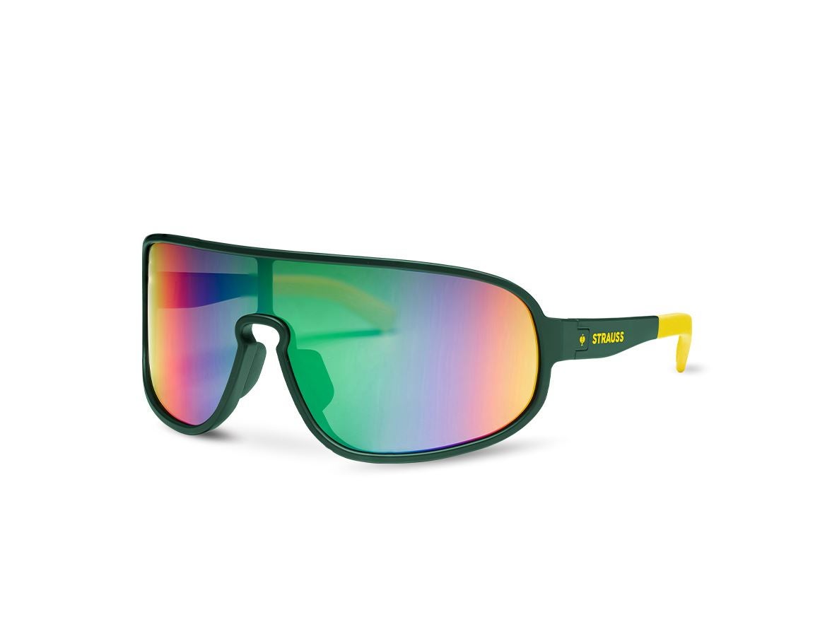 Ochranné brýle: Race sluneční brýle e.s.ambition + zelená