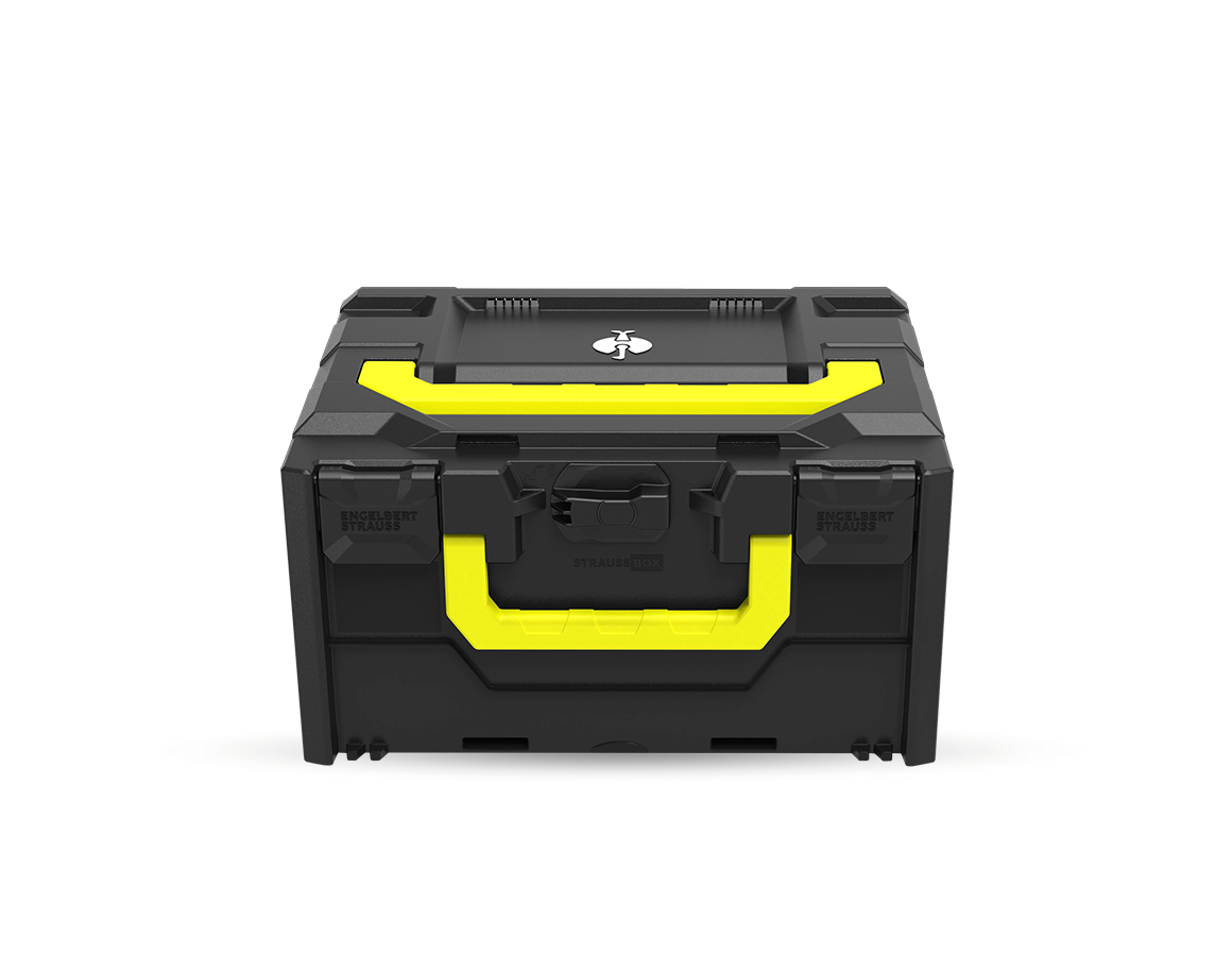 STRAUSSbox Systém: STRAUSSbox 215 midi Color + černá
