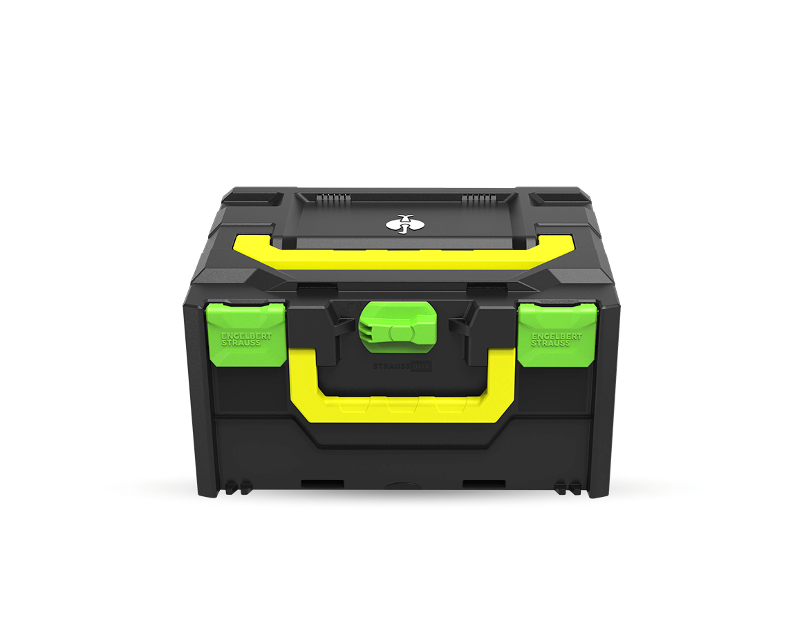 STRAUSSbox Systém: STRAUSSbox 215 midi Color + mořská zelená