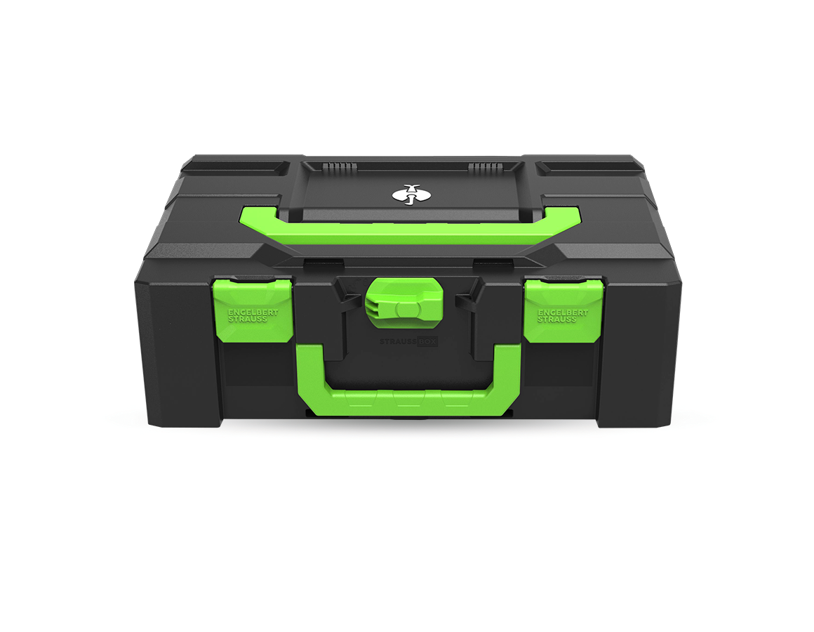 STRAUSSbox Systém: STRAUSSbox 165 large Color + mořská zelená