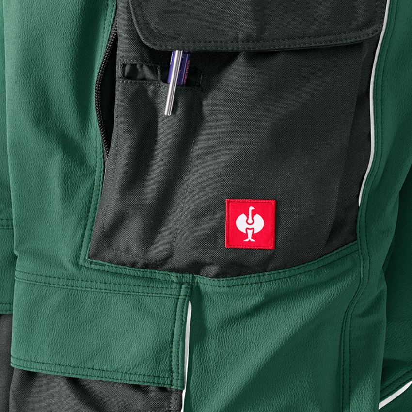Pracovní kalhoty: Funkční kalhoty e.s.dynashield + zelená/černá 2