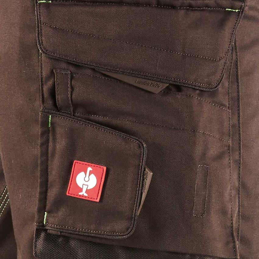Pracovní kalhoty: Zimní kalhoty do pasu e.s.motion 2020, pánské + kaštan/mořská zelená 2