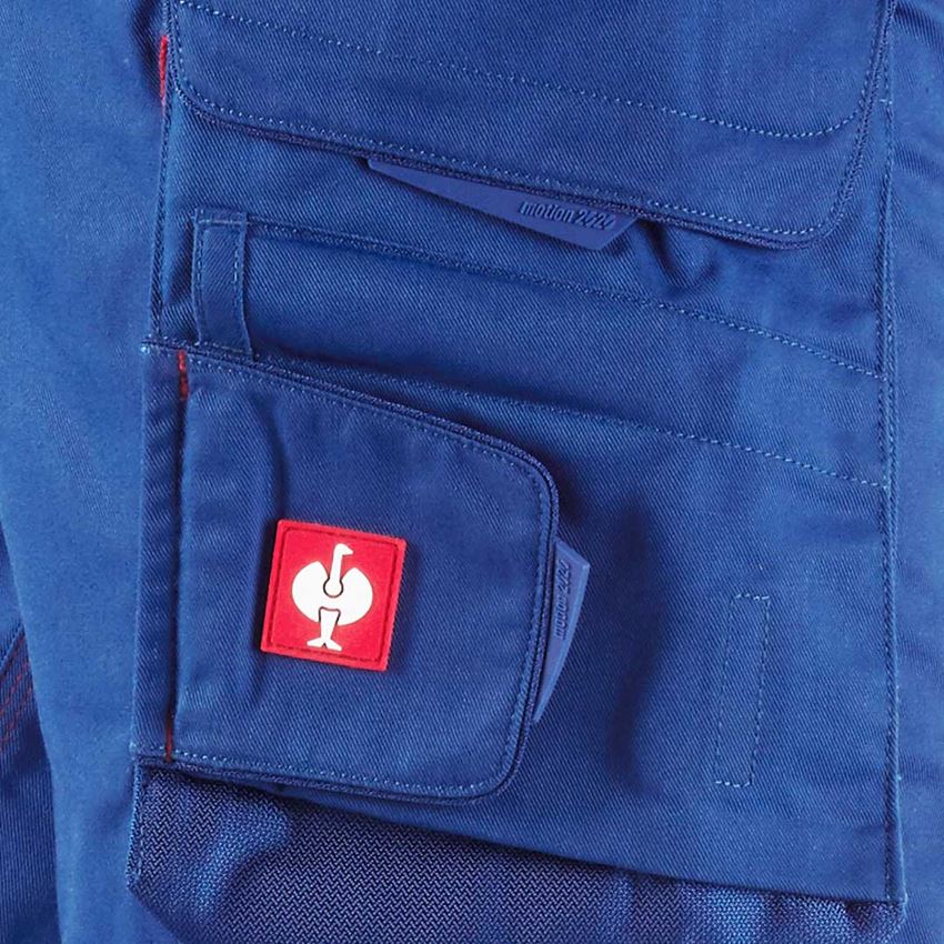 Instalatéři: Zimní kalhoty do pasu e.s.motion 2020, pánské + modrá chrpa/ohnivě červená 2