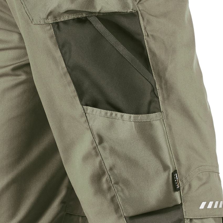 Pracovní kalhoty: Kalhoty do pasu e.s.motion + rákos/mech 2