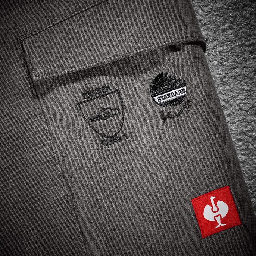 Pracovní kalhoty: Lesnické protip. kalhoty do pasu e.s.cotton touch + karbonová šedá 2