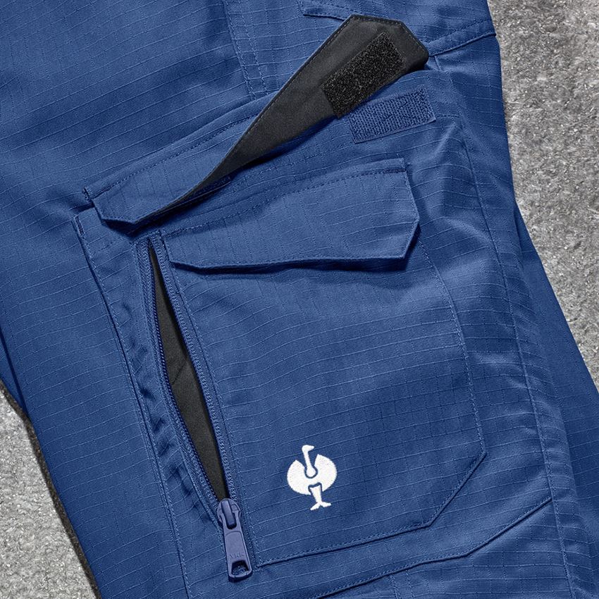 Pracovní kalhoty: Kalhoty do pasu e.s.concrete solid, dámská + alkalická modrá 2