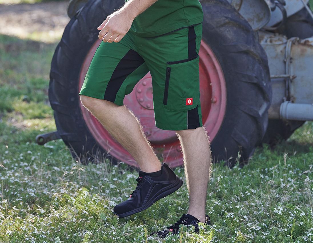 Pracovní kalhoty: Šortky e.s.vision, pánské + zelená/černá