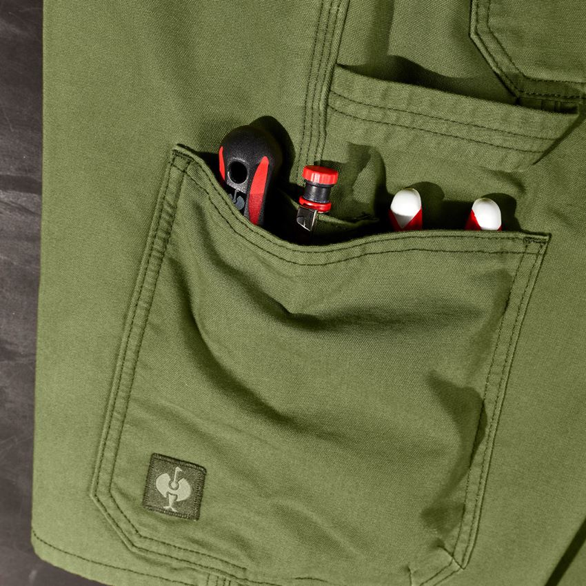 Pracovní kalhoty: Šortky e.s.iconic + horská zelená 2