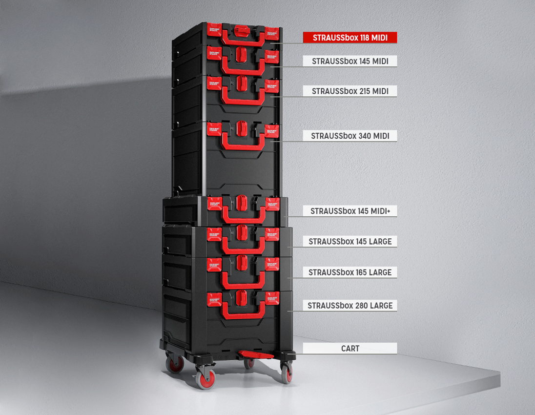 STRAUSSbox Systém: Sada nástrčných klíčů lockfix 1/4+1/2 v STRAUSSbox 4