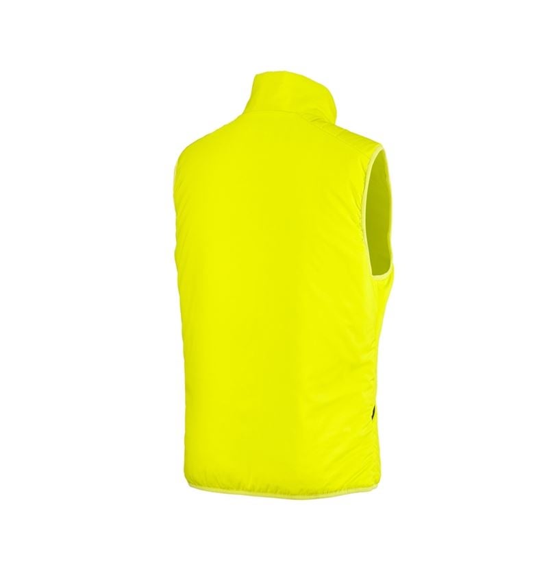 Pracovní vesty: Vesta e.s.trail + acidově žlutá/černá 4