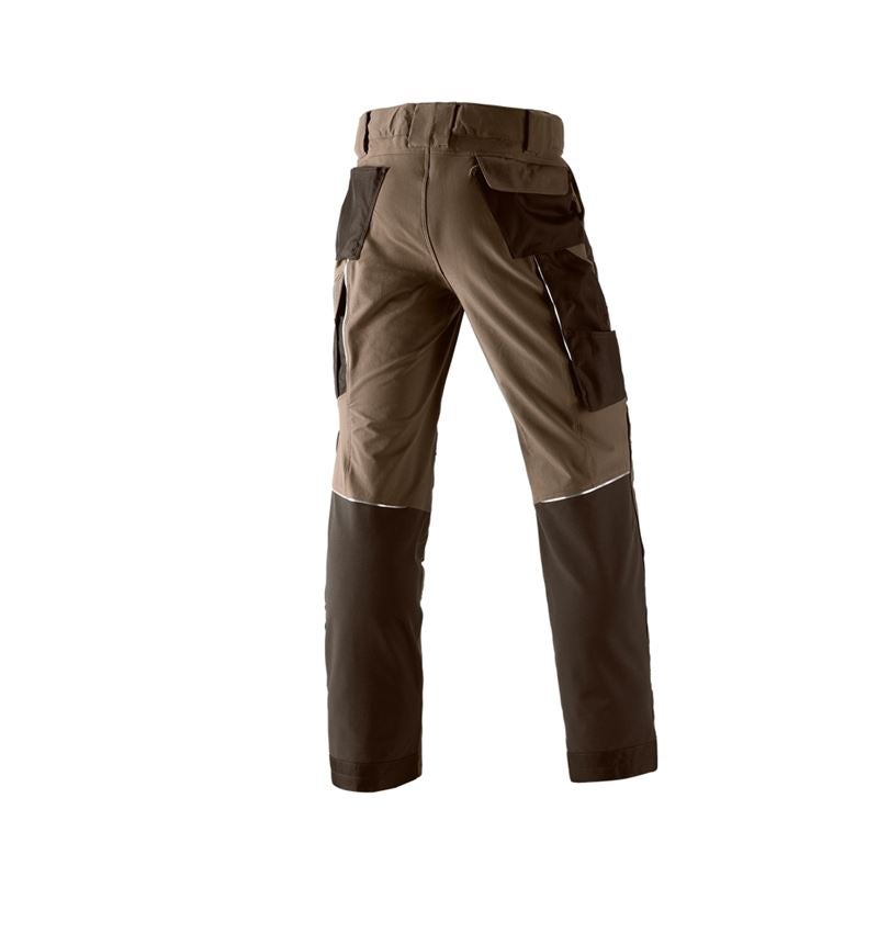Truhlář / Stolař: Funkční kalhoty e.s.dynashield + lískový oříšek/kaštan 2
