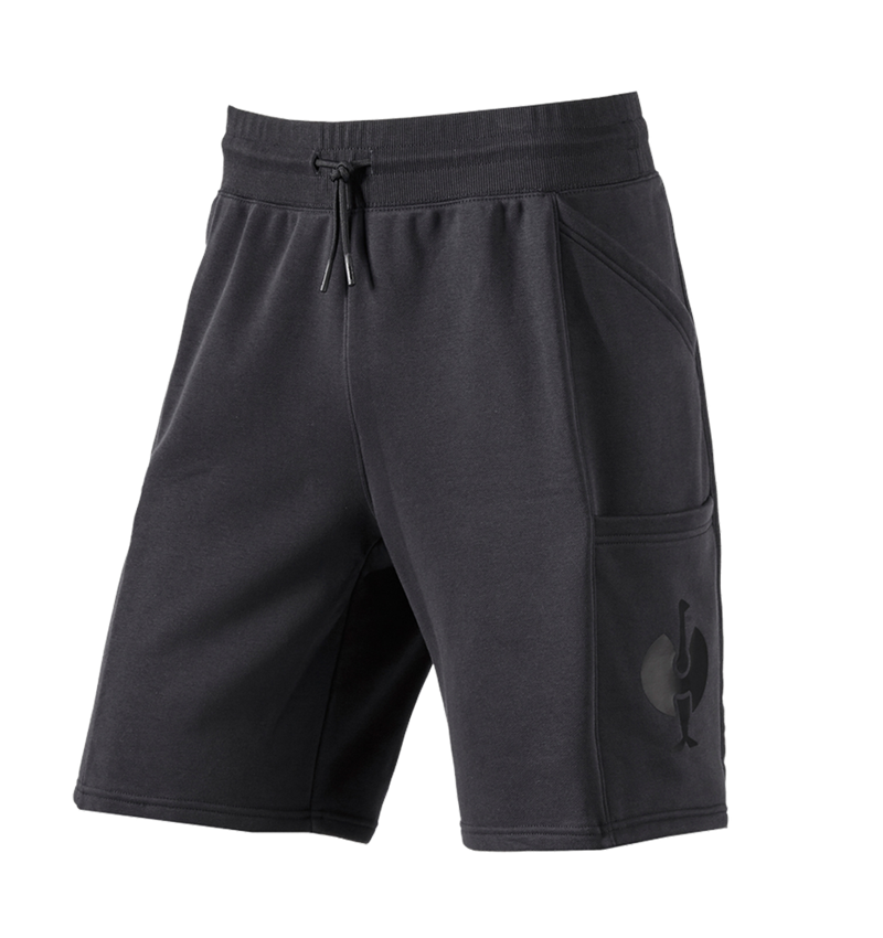 Pracovní kalhoty: Lehké šortky e.s.trail + černá 2