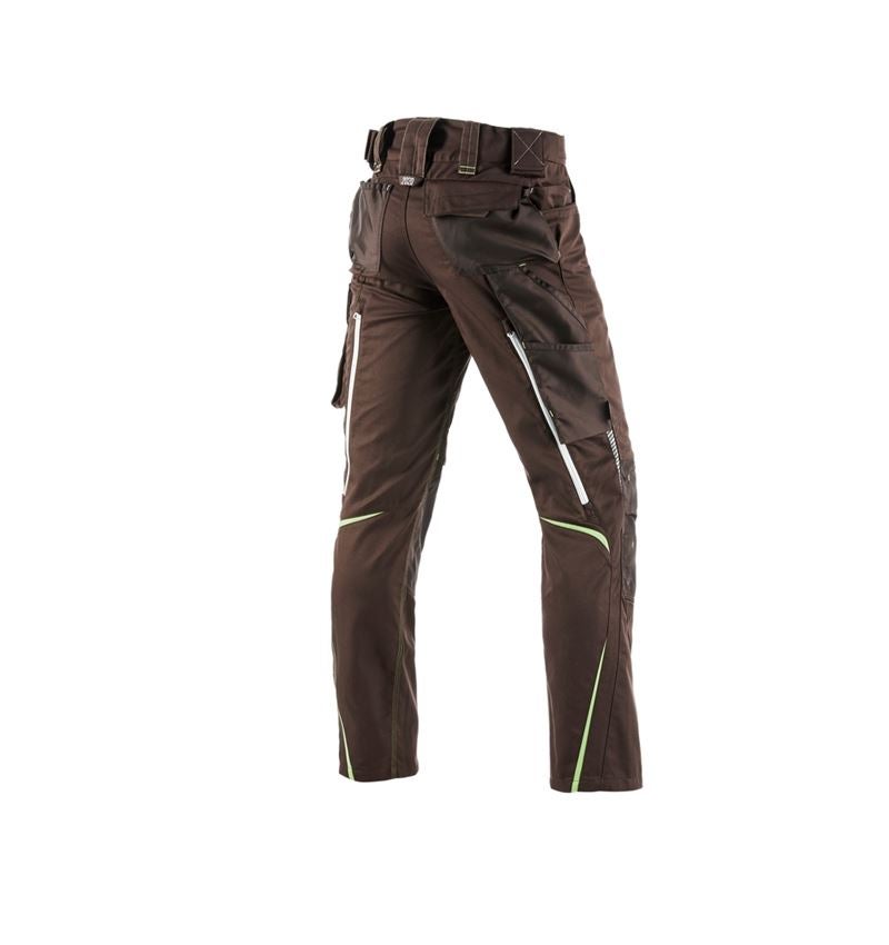 Pracovní kalhoty: Kalhoty e.s.motion 2020 + kaštan/mořská zelená 3