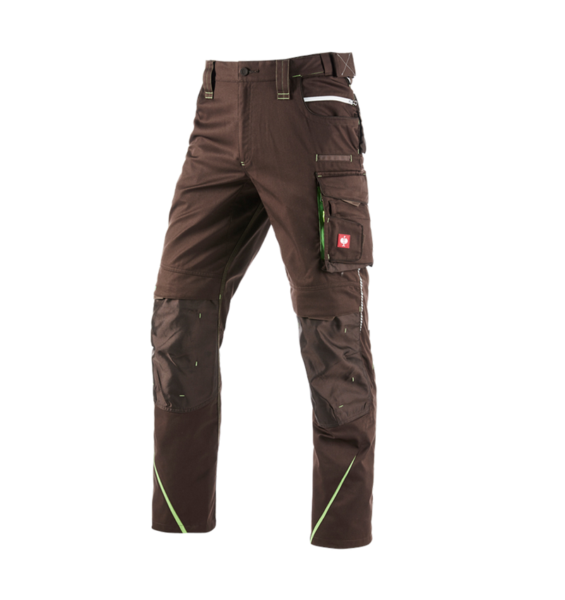 Pracovní kalhoty: Kalhoty e.s.motion 2020 + kaštan/mořská zelená 2