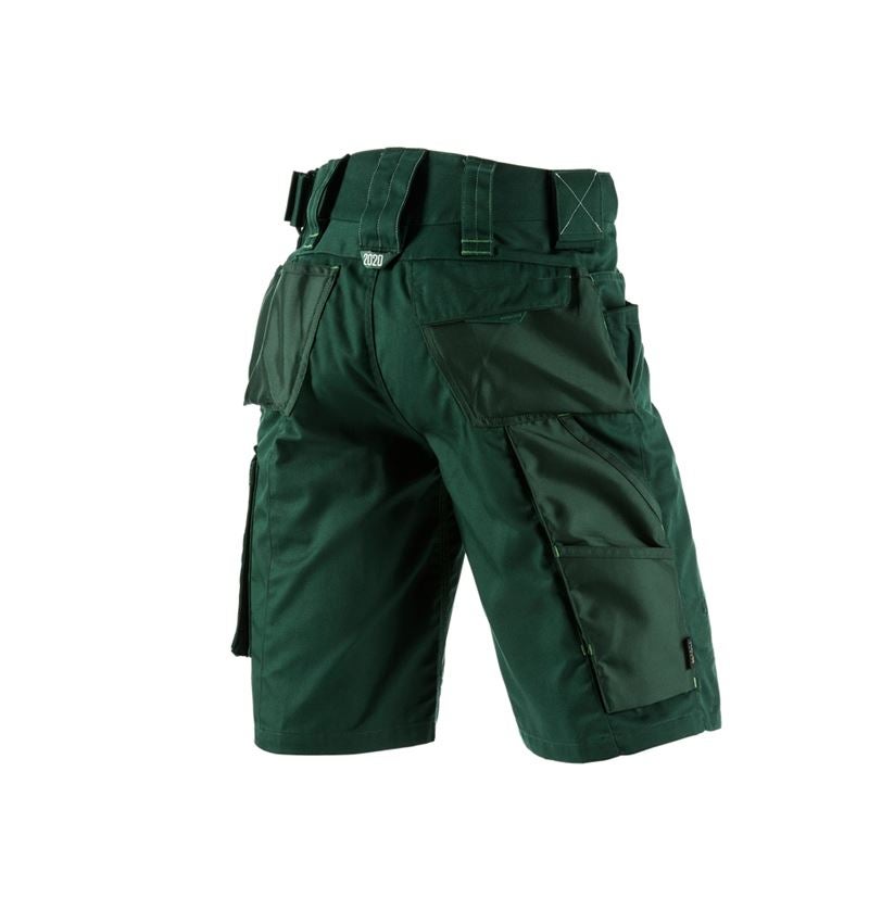 Pracovní kalhoty: Šortky e.s.motion 2020 + zelená/mořská zelená 3