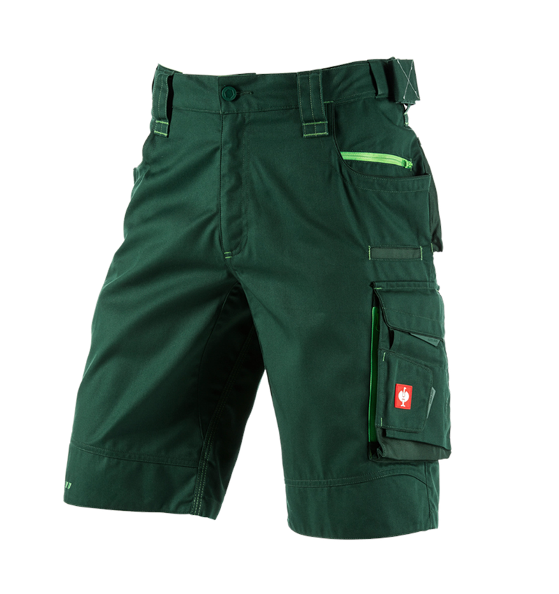 Pracovní kalhoty: Šortky e.s.motion 2020 + zelená/mořská zelená 2