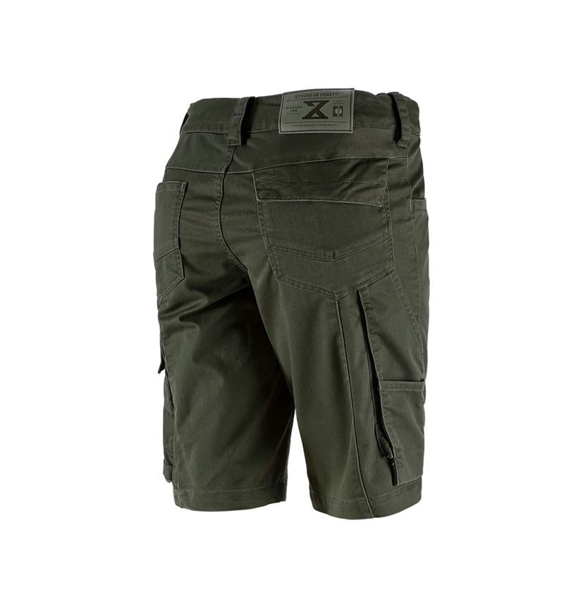 Pracovní kalhoty: Šortky e.s.motion ten, dámské + maskovací zelená 3