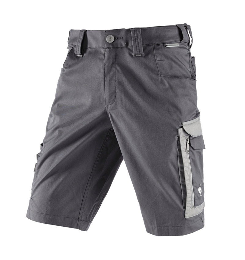 Pracovní kalhoty: Šortky e.s.concrete light + antracit/perlově šedá 3