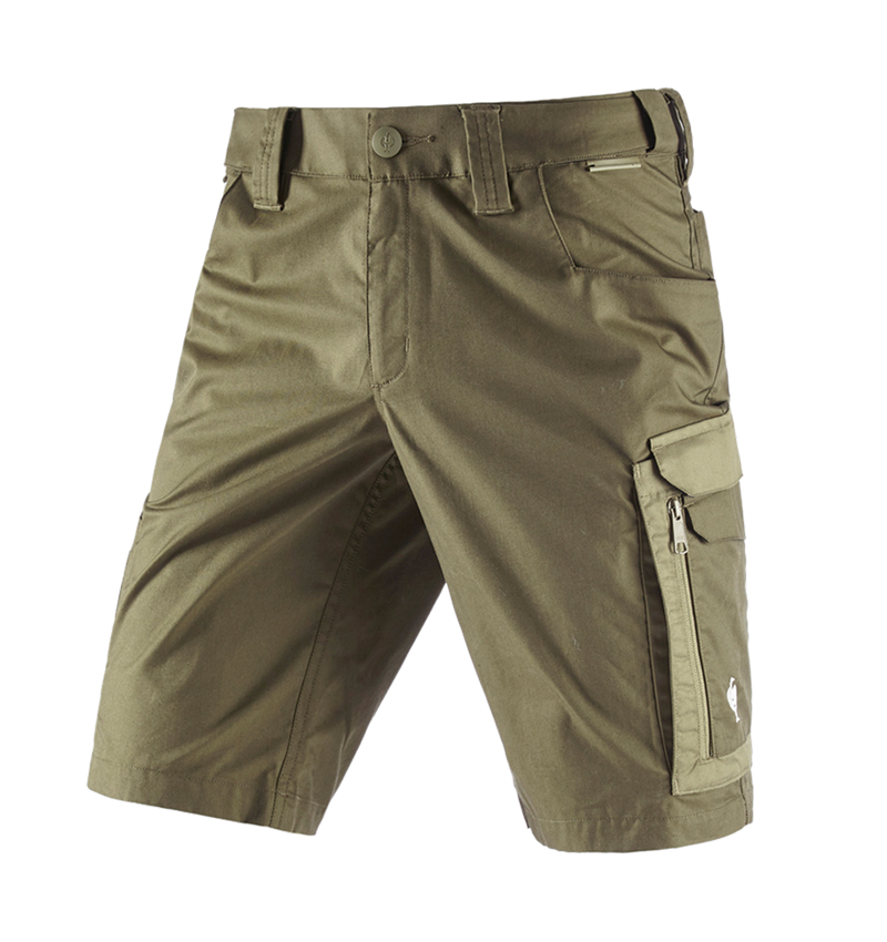 Pracovní kalhoty: Šortky e.s.concrete light + bahnitá zelená/kavylová zelená 3