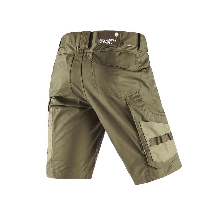 Pracovní kalhoty: Šortky e.s.concrete light + bahnitá zelená/kavylová zelená 4