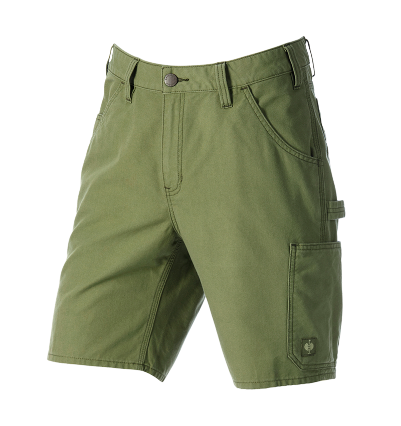 Pracovní kalhoty: Šortky e.s.iconic + horská zelená 6