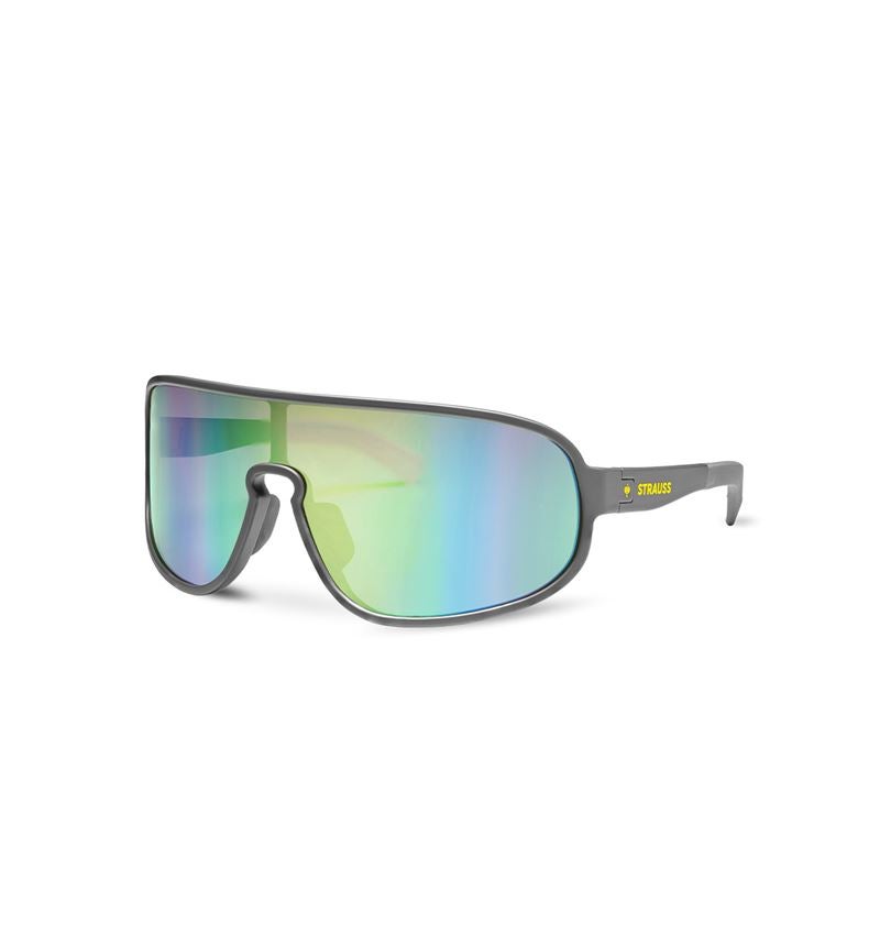 Ochranné brýle: Race sluneční brýle e.s.ambition + antracit