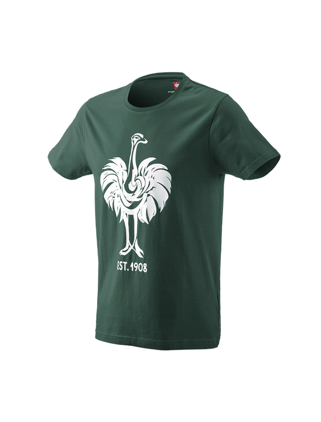 Trička, svetry & košile: e.s. Tričko 1908 + zelená/bílá