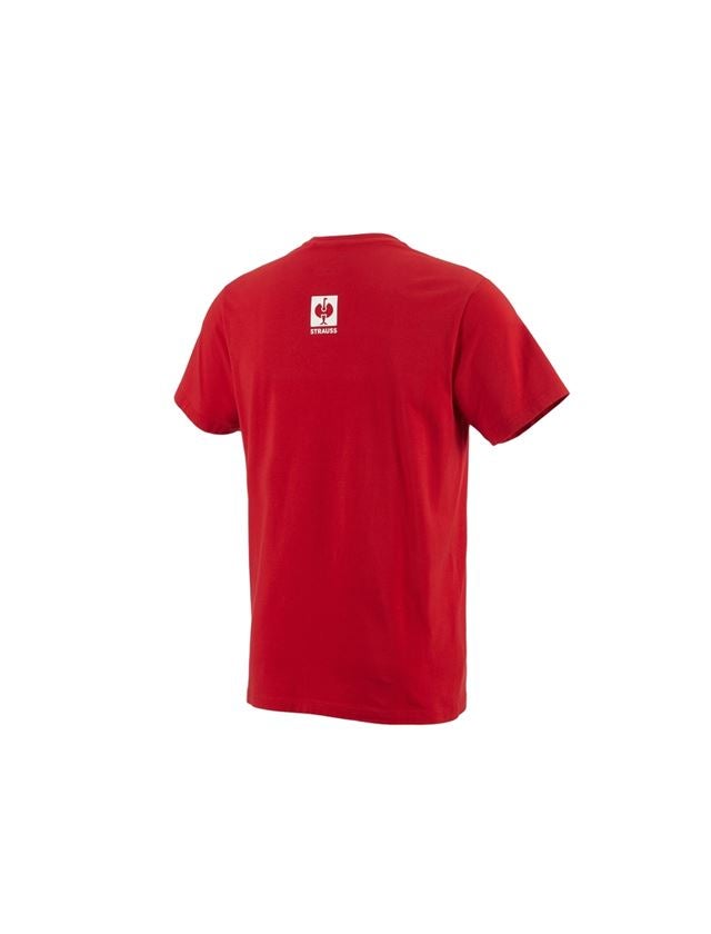 Trička | Svetry | Košile: e.s.pop up t-shirt praha + strauss červená 1